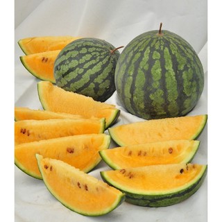 Hạt Giống Dưa Hấu Ruột Vàng Qủa To Ngọt, Giàu Vitamin, Năng Suất Cao - Gói 10 hạt