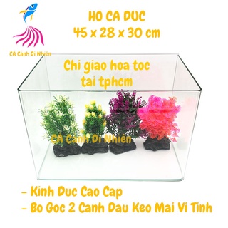 Hồ kính đúc nuôi cá thủy sinh 2 cạnh uốn cong bể size 45x28x30 cm