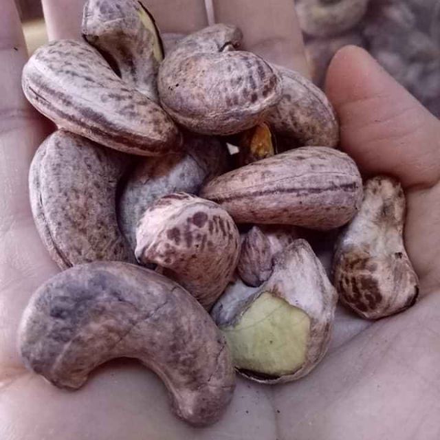 250GR HẠT ĐIỀU A CỒ NGUYÊN HẠT LOẠI XUẤT KHẨU