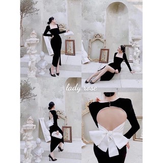 Đầm thiet ke cao cap chọn live 480k