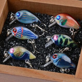 Mồi ruồi 3D, chuyên câu rô phi, cá lóc, cá sộp