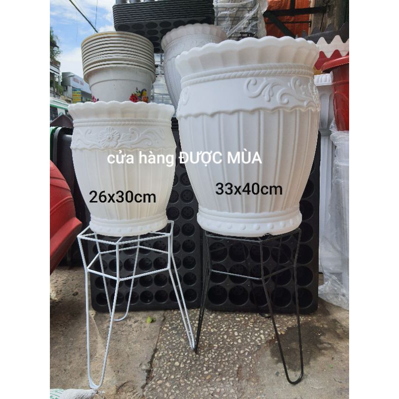 chậu lu sọc 33x40cm