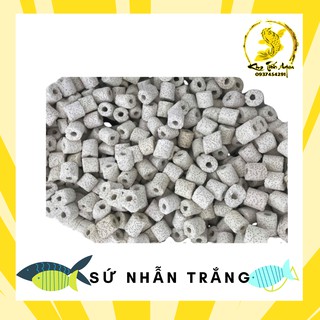 Sứ nhẫn trắng - Vật liệu lọc cho bể cá