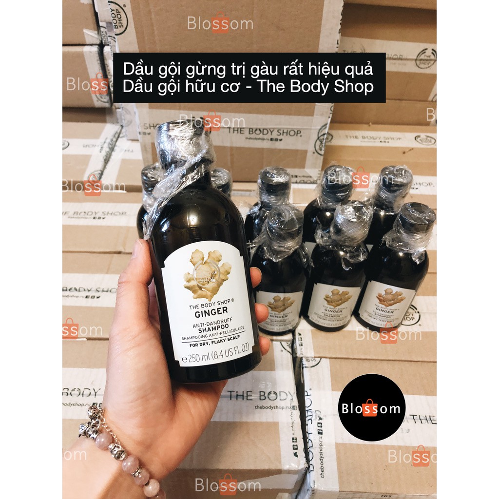 Dầu gội hữu cơ - gừng tóc gàu/ fuji kiềm dầu - The body shop rất hiệu quả rất thích | BigBuy360 - bigbuy360.vn