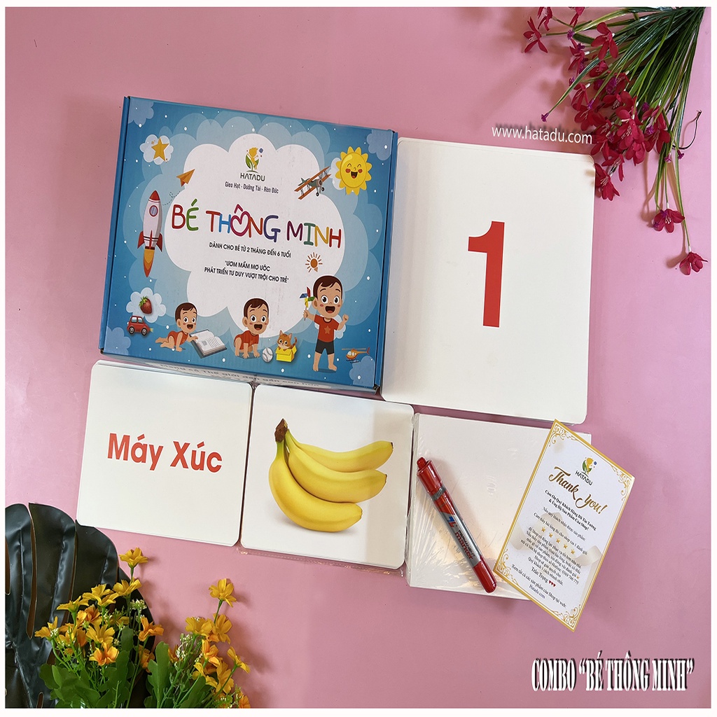 Combo Bé Thông Minh - Thẻ Fashcard
