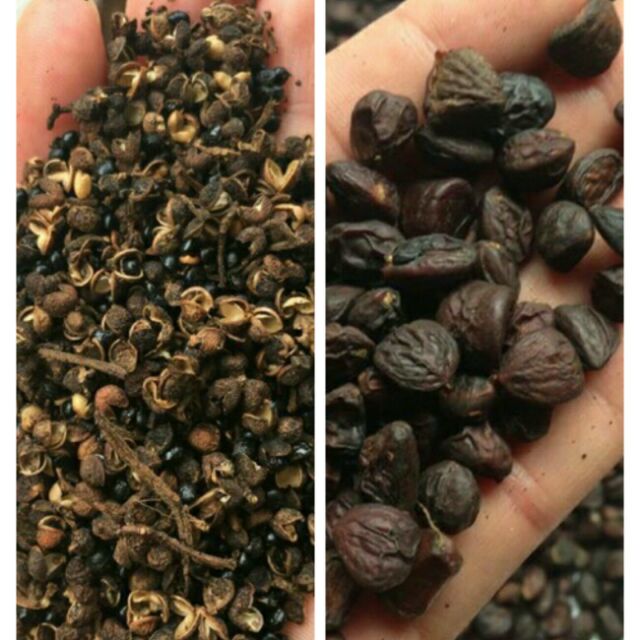 Combo 50g dổi + 100g hạt mắc khén