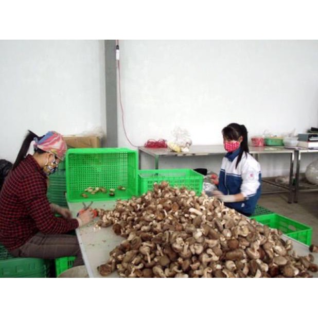 ✅Healthy✅ Chân nấm hương Organic Phú Gia túi 500g | BigBuy360 - bigbuy360.vn