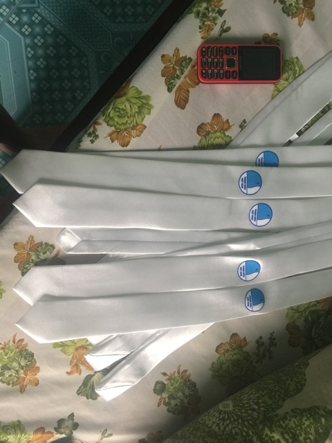 Cavat Hội LHTN Việt Nam