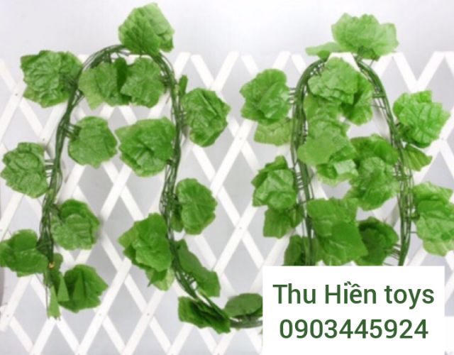 Dây Lá Nho Cuống Xanh Dài 2m