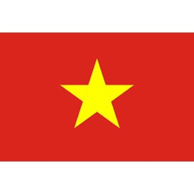 cờ tổ quốc 80x100cm + 90x150cm