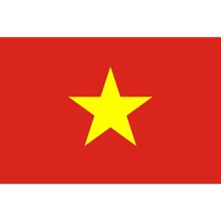 Cờ tổ quốc 80x100cm + 90x150cm