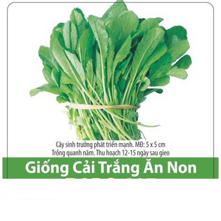 Hạt Giống Cải Trắng Ăn Non 20gr