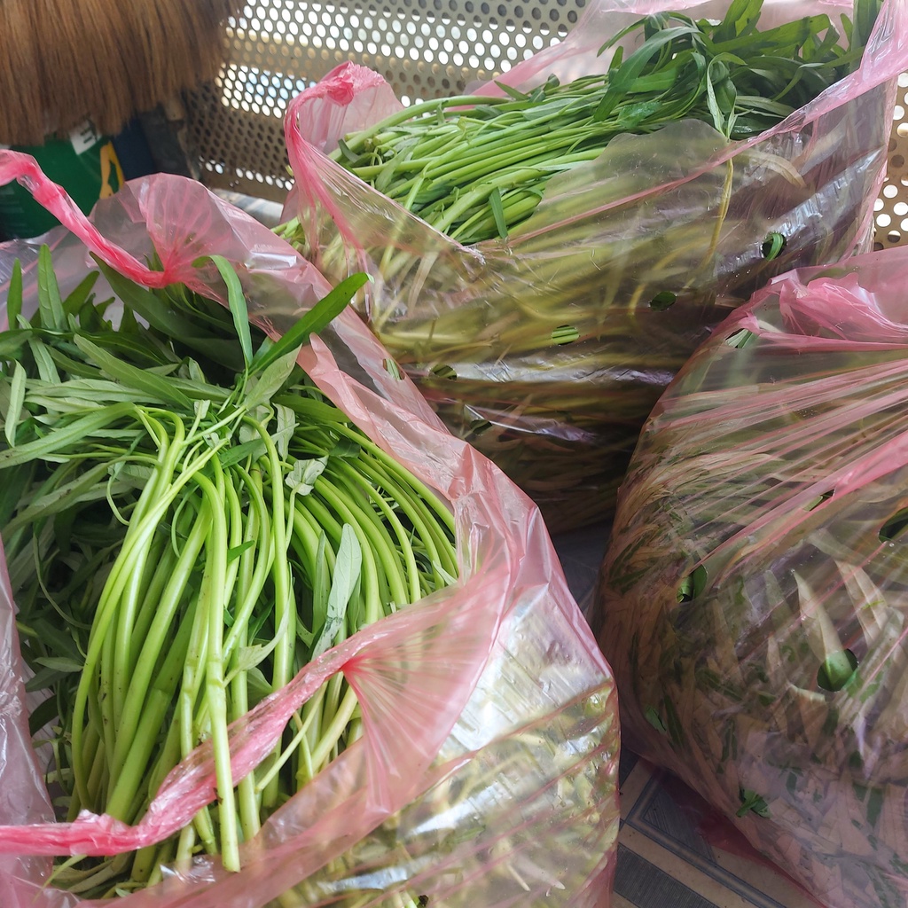 Giao HCM Rau Muống Nước 1kg Trồng Từ Vườn Sạch Q12 | BigBuy360 - bigbuy360.vn