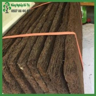 Dớn bảng trồng lan kích thước 60x20