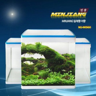 Bể cá để bàn kính liền