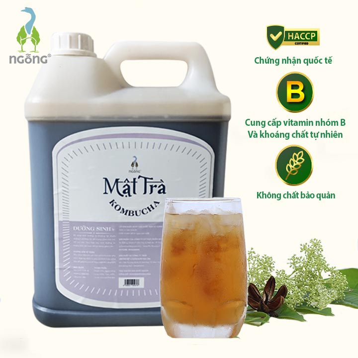 Mật Trà Kombucha Dưỡng Sinh 5l