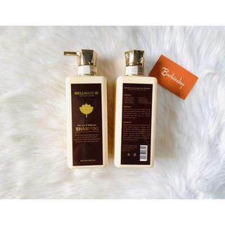 DẦU GỘI WELL MATTE 500ML ITALIA