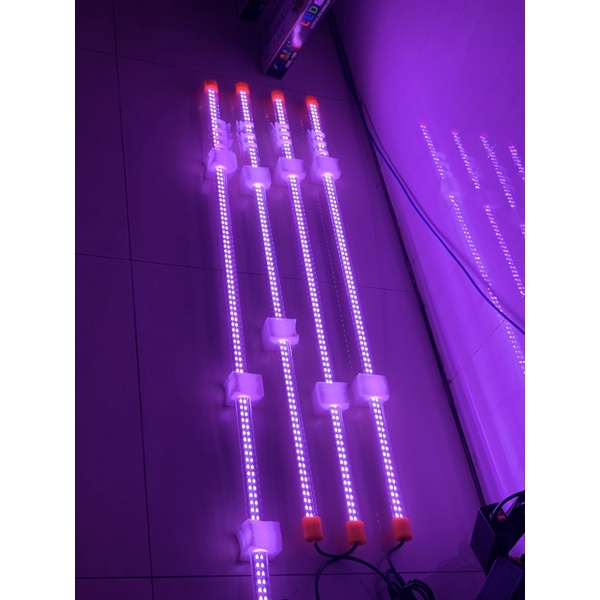 Đèn Led XML 2 Hàng Bóng Led Thủy Tinh Xuanmeilong - Chuyên Dụng Cho Cá Cảnh