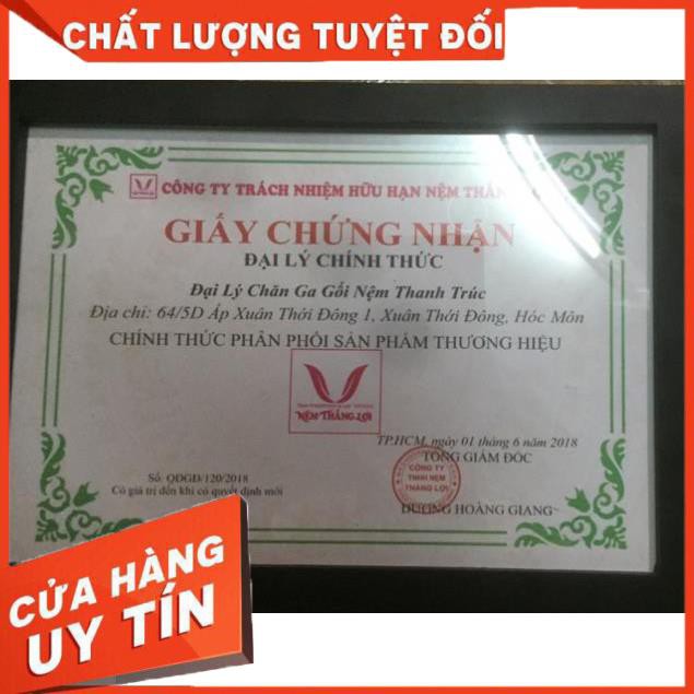 Nệm cao su non Thắng Lợi đủ size từ 1m-2.2m bảo hành 15 năm