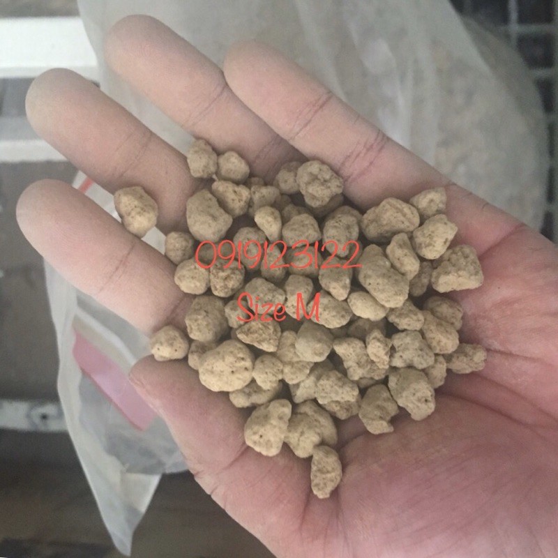 đất nền akadama size SS túi chiết 1kg