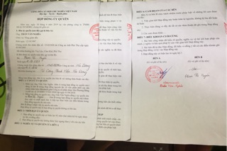 Combo 5  Nano Mầm Đậu Nành