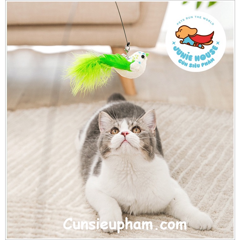 Cần câu đồ chơi tròn hình chú chim cho mèo