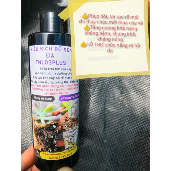 ❤️siêu Kích rễ dưỡng rễ sen đá TNL03plus chuyên sen đá xương rồng