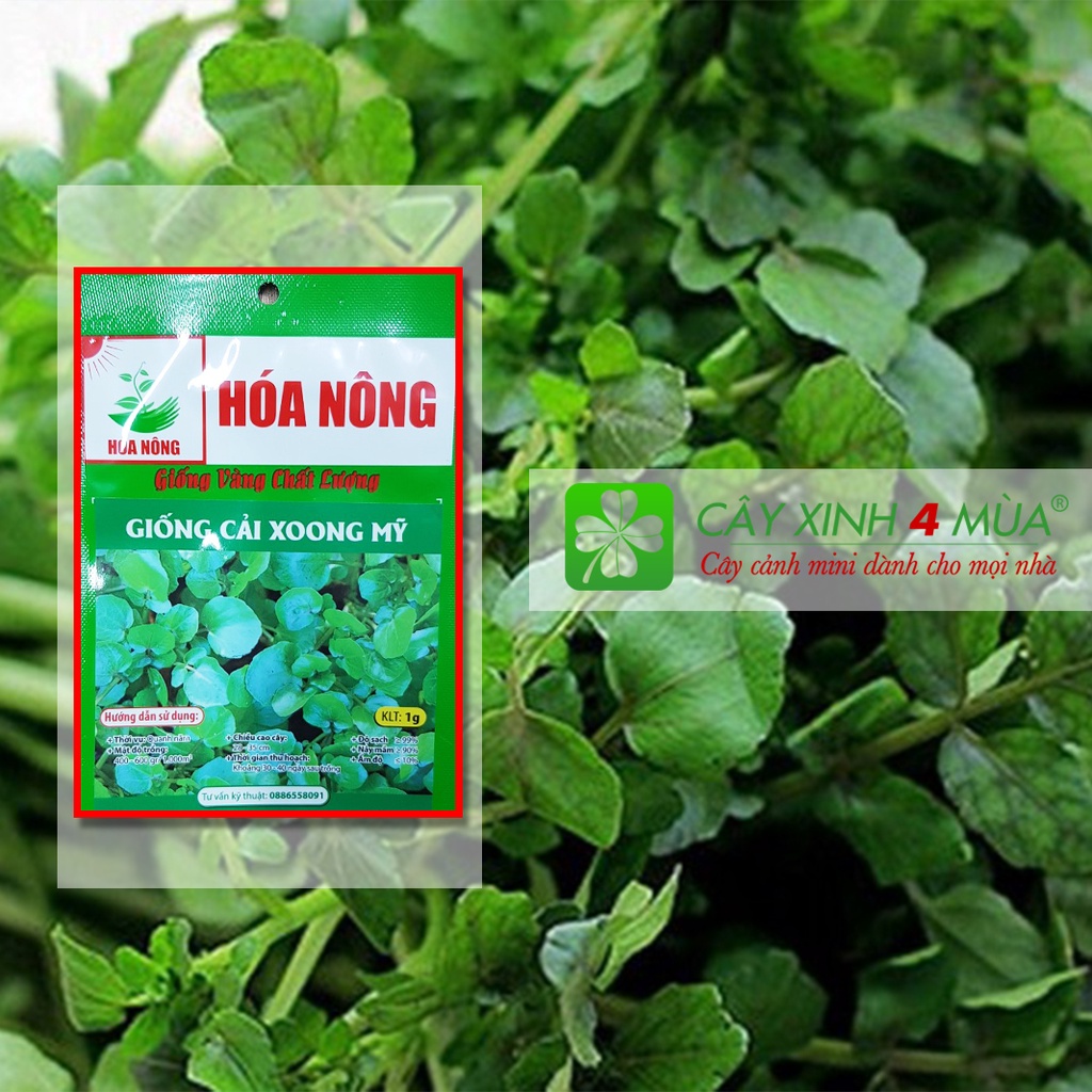 Giống Cải Xoong Mỹ [ Giống vàng chất lượng ] Gói: 1g