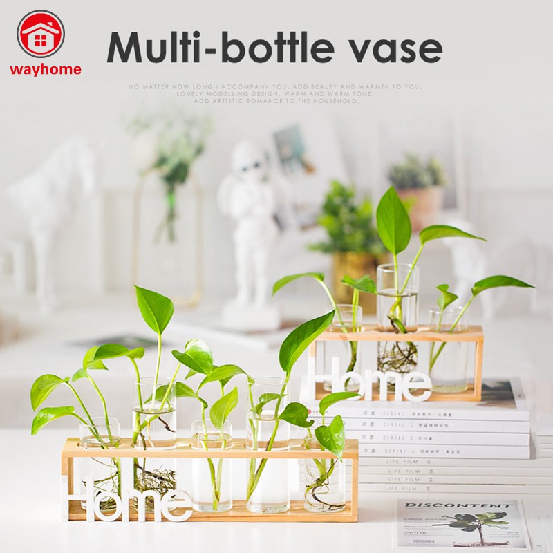 Đế Gỗ/Lọ Thuỷ Tinh Trồng Cây Trang Trí Nhà Cửa Độc Đáo
