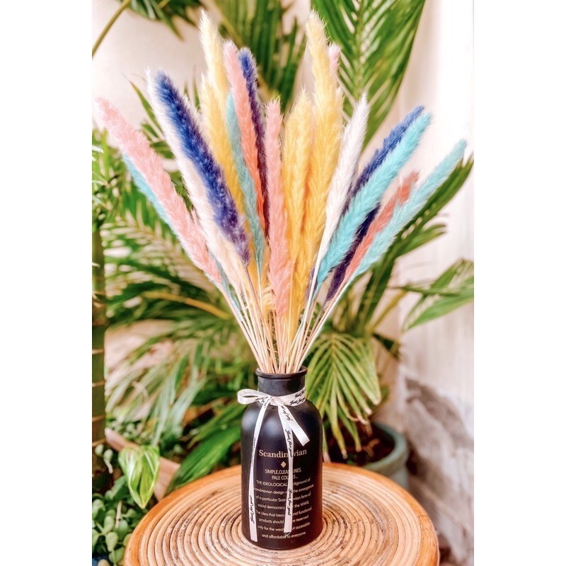 🌸Loại đẹp🌸Combo 3 cành Cỏ Lau Khô Pampass Grass cao 45-50cm decor trang trí nhà cửa, đạo cụ chụp ảnh