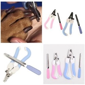 Combo bộ kềm bấm móng kèm dũa móng chân chó mèo