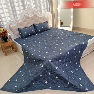 Free ship Bộ chăn hè ga gối poly 1m2 set 4 món caishopquen-81