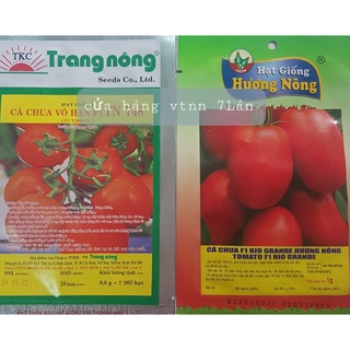 hạt giống Cà chua f1 TN