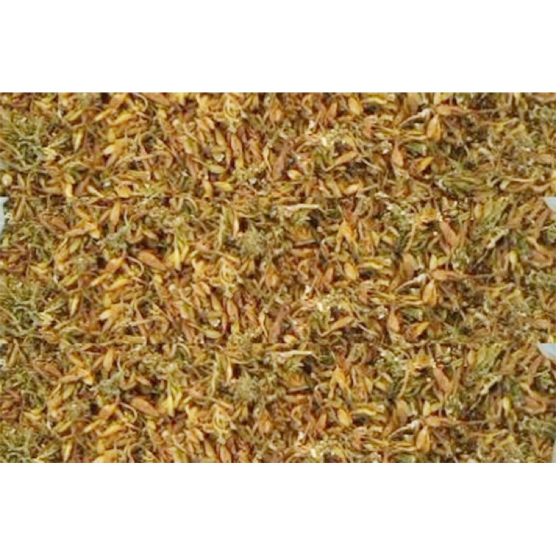 Hoa đu đủ đực phơi khô tự nhiên đóng bịch 0,5kg