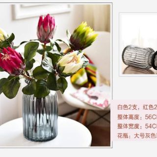 Hoa lụa - quốc hoa Nam Phi - hoa Protea