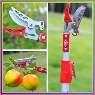 KÉO HÁI QUẢ - KÉO CẮT CÀNH Giữ  Quả Trên Cao 3M, có cưa đi kèm