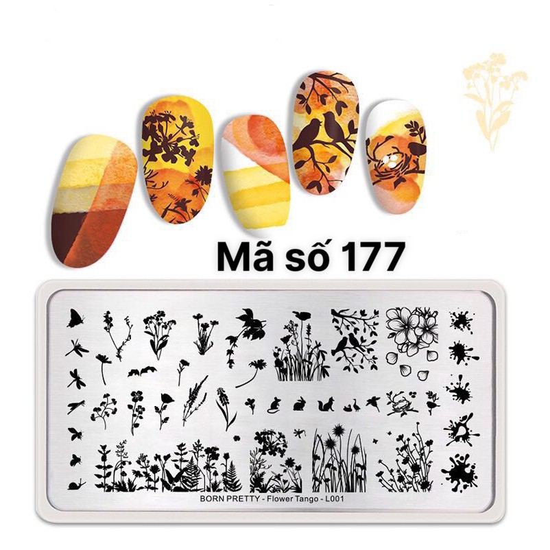 Bảng in mã số 177