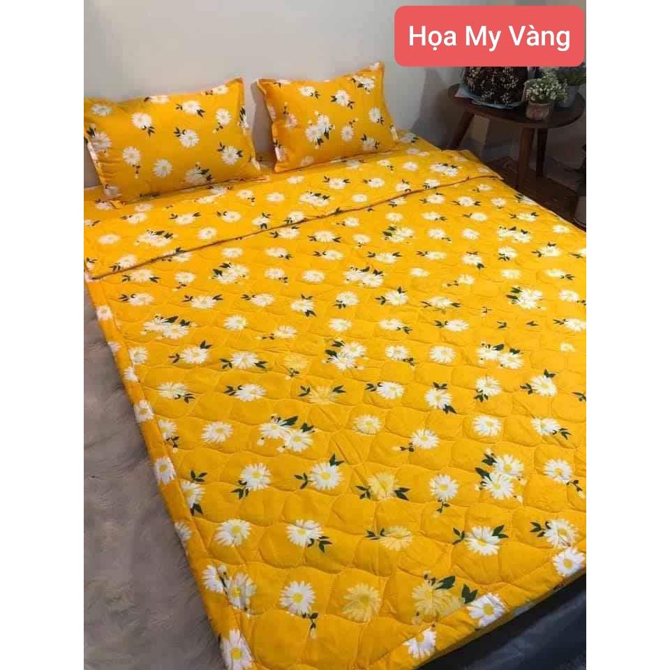 Bộ Ga Gối Cotton Poly 4 Món H&T Bedding, Miễn Phí May Ga Bo Chun, Bộ Ga Mới Hè 2022, Sét Chăn Ga 4 Món | BigBuy360 - bigbuy360.vn