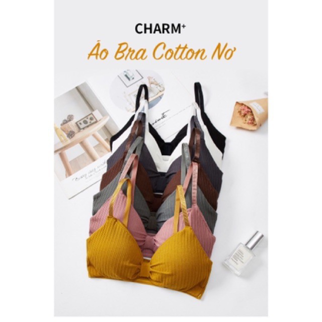 Áo bra nữ, áo lót nữ cotton tăm nơ đệu có đệm không gọng BR32