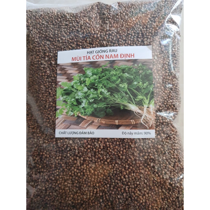 30 gram Rau mùi tía ta