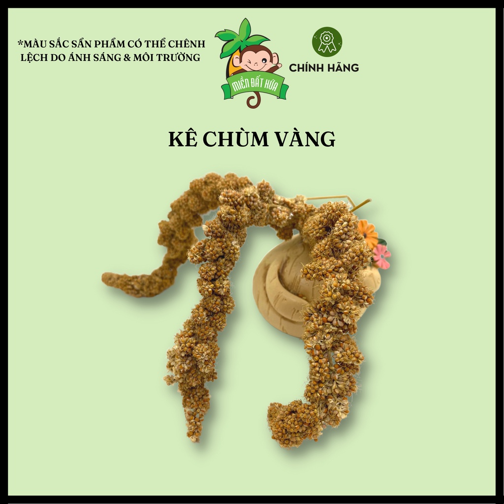 Thức ăn cho hamster - Kê chùm thơm ngon, dinh dưỡng dành cho hamster, chim nhỏ