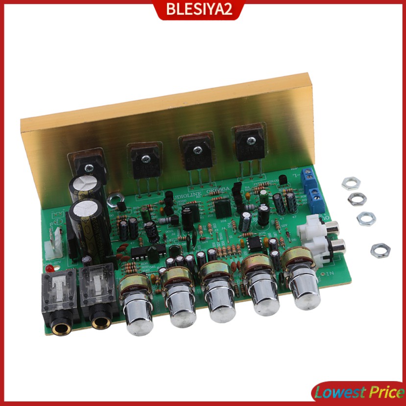 Mô Đun Khuếch Đại Âm Thanh 100W + 100W Kênh Kép Chất Lượng Cao Blesiya2