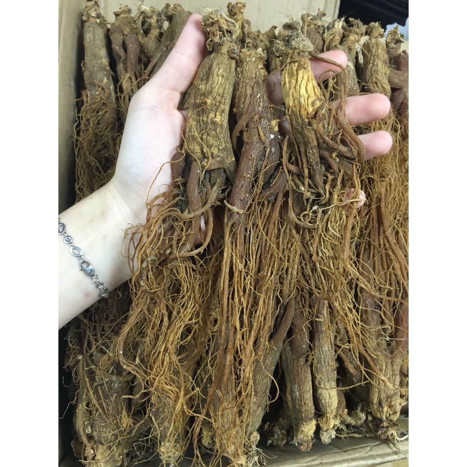 100gr Hồng Sâm Trường Bạch