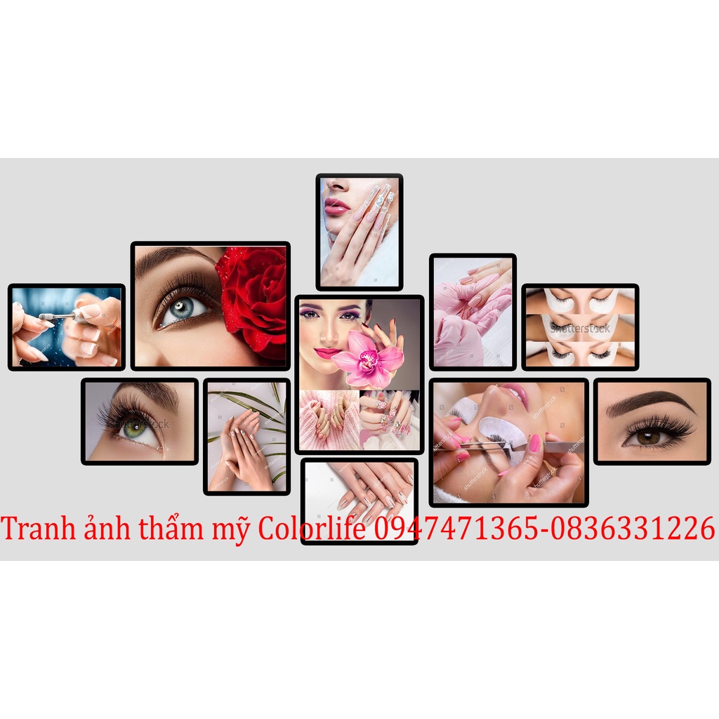 TRANH NAIL MI TRANG TRÍ TIỆM NAIL SIÊU ĐẸP GIÁ XƯỞNG SEONAIL3 ÁNH DƯƠNG | BigBuy360 - bigbuy360.vn