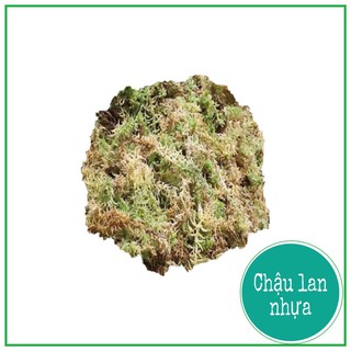 Rêu rừng trồng lan 200g
