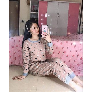 Bộ nỉ bông