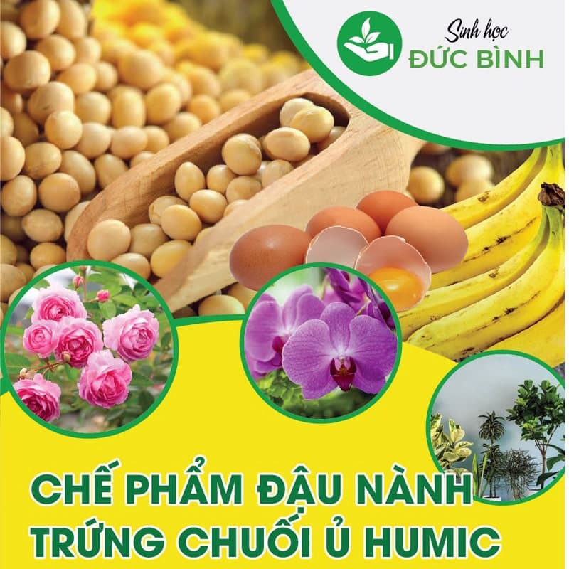 Chế Phẩm Đậu Nành Trứng Chuổi Ủ Humic Kích Rễ Khỏe, Mầm Mập, Chồi Cực Mạnh, Hoa To, Đậm Màu chai 500ml