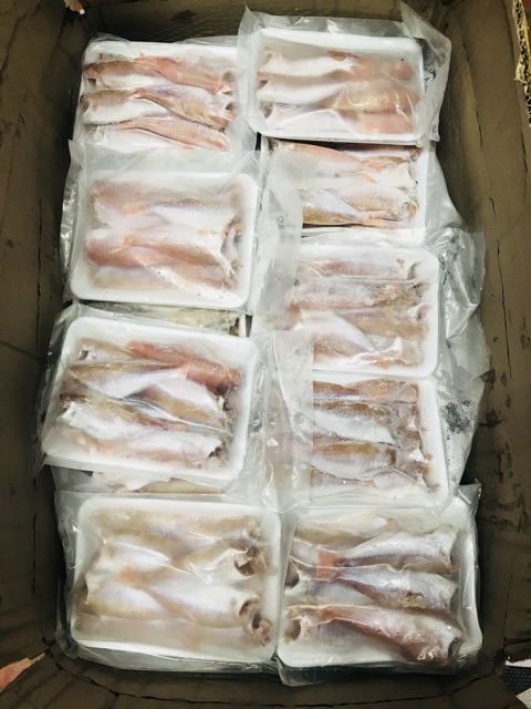 Cá hồng phèn 1 nắng