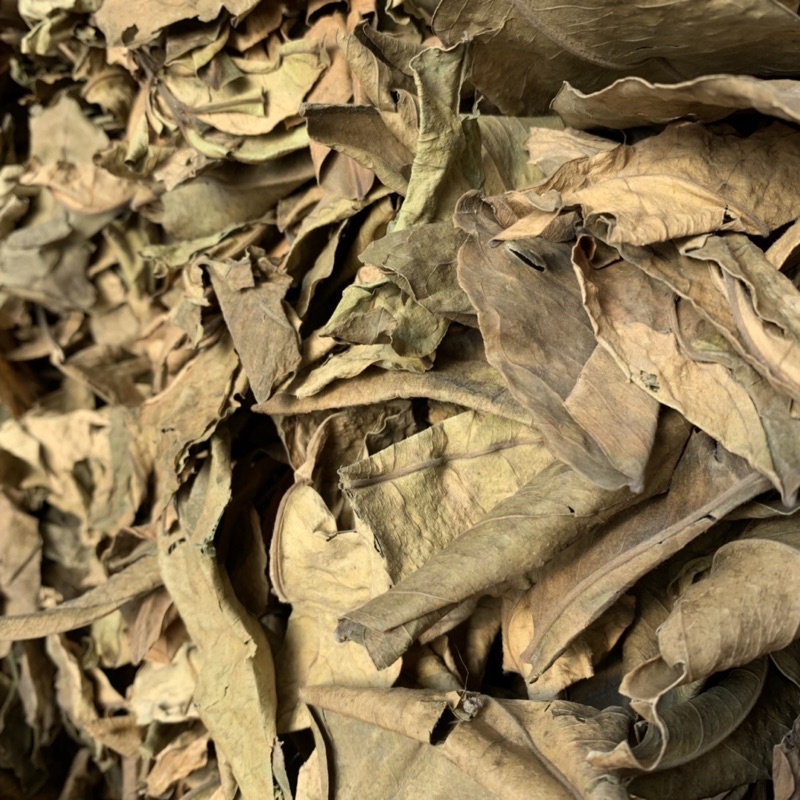 Lá Bưởi vườn sấy khô không thuốc