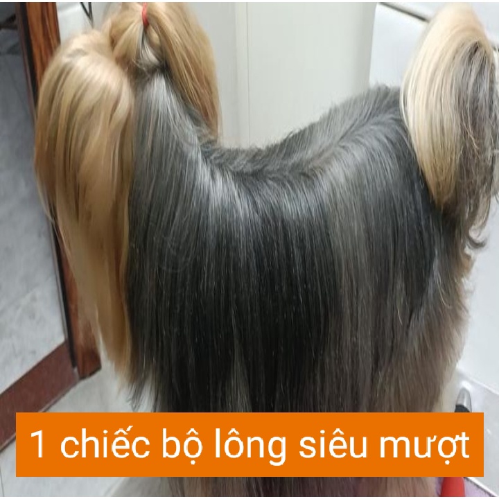 Sữa tắm nước hoa cao cấp cho chó mèo 500ml - Dưỡng lông siêu mượt  - Trị ngứa da, loại ve rận